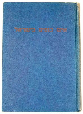 ספר ״איש כנפים בישראל״, לזכרו של הטייס מרדכי (מודי) אלון. ספרית ״שחרות״, הוצאת עם עובד, 1949. 
