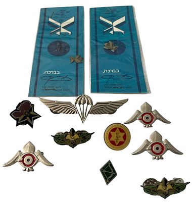 סיכות דש, צבא ומשטרה. לוט סיכות דש בתחום צבא ומשטרה, תקופות שונות, כפילויות