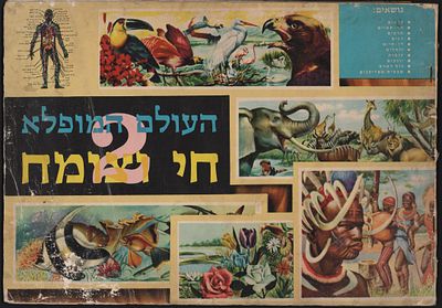 העולם המופלא 2, חי וצומח. אלבום קלפים "חי וצומח", העולם המופלא 2, הוצאת נירם, ראשית שנות השבעים. 