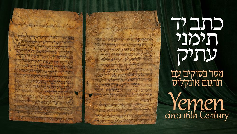 כתב יד תימני עתיק על קלף, מספר פסוקים עם תרגום אונקלוס. [תימן, המאה ה16 לערך]. 
פסוקים מסוף 