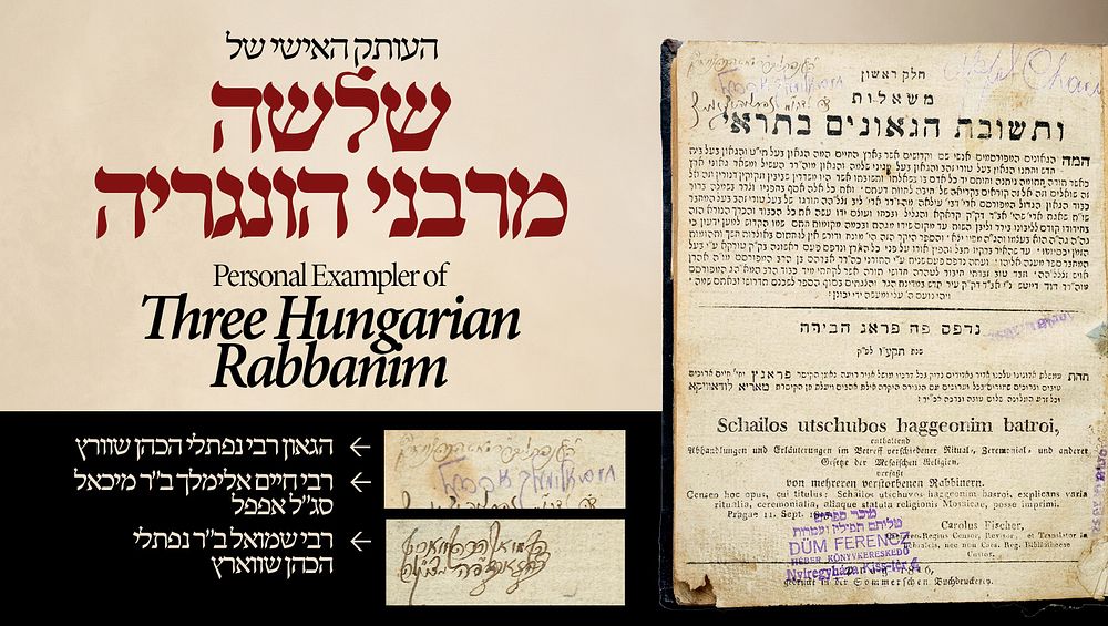 עותק אישי של שלשה מרבני הונגריה רבי נפתלי הכהן שווארץ, בנו רבי שמואל ורבי חיים אלימלך אפפעל: 