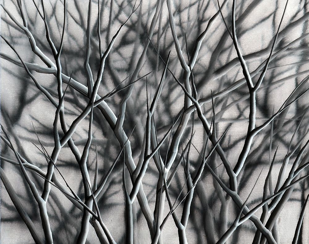 Mosh Kashi
- b. 1966. Branches, 2013,
Oil on canvas, 40X50 cm.
Signed and dated on the reverse. 