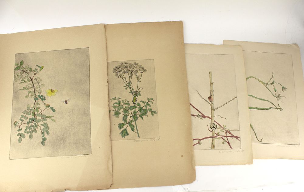 Lot 230: WERNER VOM SCHEIDT. FOUR COLOR ETCHINGS