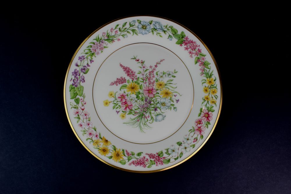 Lot 528: Lenox Limited Edition The Constitution Plate