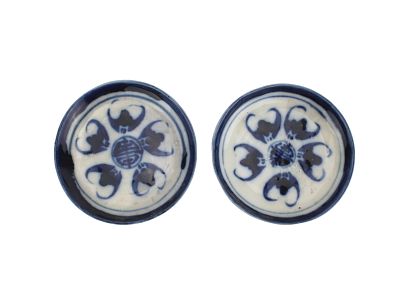 Two Chinese Blue & White Porcelain Saucers. A pair of shallow porcelain dishes decorated in 