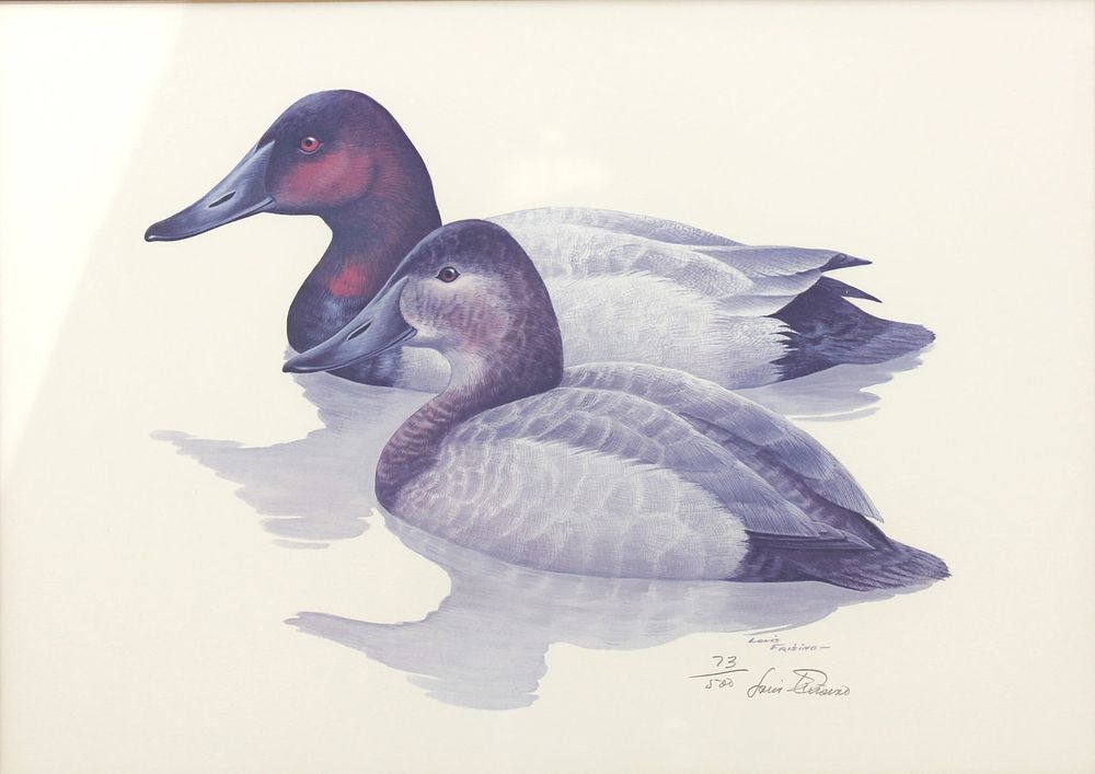 Lot 499: Louis Frisino, Canvasback Pair, Signed Lithograph