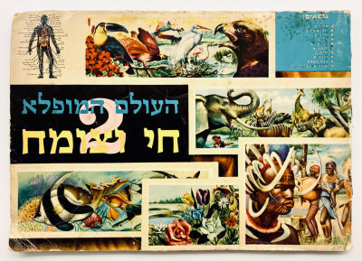 The Wonderful World 2 - Photo Collection Album - Almost Full. Niram Publishing, Jerusalem. Circa 