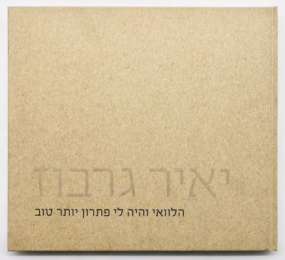 Yair Garbuz - I wish I Had a Better Solution. Curator: Meir Aharonson. 
Museum of Israel Art 