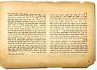 The Jewish Question and Its Solution - Diagrams and Figures - Hashomer Hatzair, 1938. The Jewish Image - 3