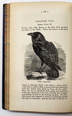 The Natural History of the Bible - Illustrated - London 1873. The Natural History of the Bible: 