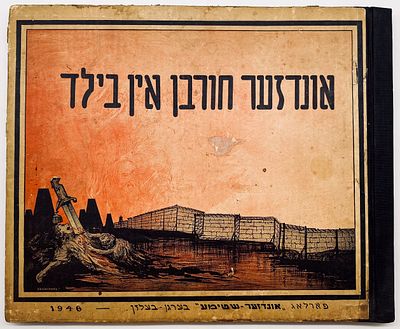 Our Destruction in Pictures - Rare Images from the Holocaust - Bergen-Belsen 1946. אונדזער חורבן 