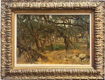 SANDRO VACCHETTI CARRU 1889 - TORINO 1976 Ulivi a Bordighera - SANDRO VACCHETTI CARRU 1889 - 