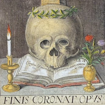 Trillium Antique Prints & Rare Books | Antique Prints, Maps, & Books of Natural History, Botanicals, & More