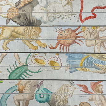 Trillium Antique Prints & Rare Books | Antique Prints, Maps, & Books of Natural History, Botanicals, & More