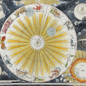 Trillium Antique Prints & Rare Books | Antique Prints, Maps, & Books of Natural History, Botanicals, & More