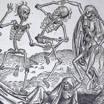 Trillium Antique Prints & Rare Books | Antique Prints, Maps, & Books of Natural History, Botanicals, & More