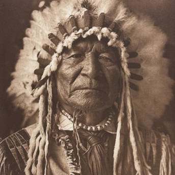 Trillium Antique Prints & Rare Books | Antique Prints, Maps, & Books of Natural History, Botanicals, & More