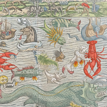 Trillium Antique Prints & Rare Books | Antique Maps & Prints of Natural History, Botanicals, & More