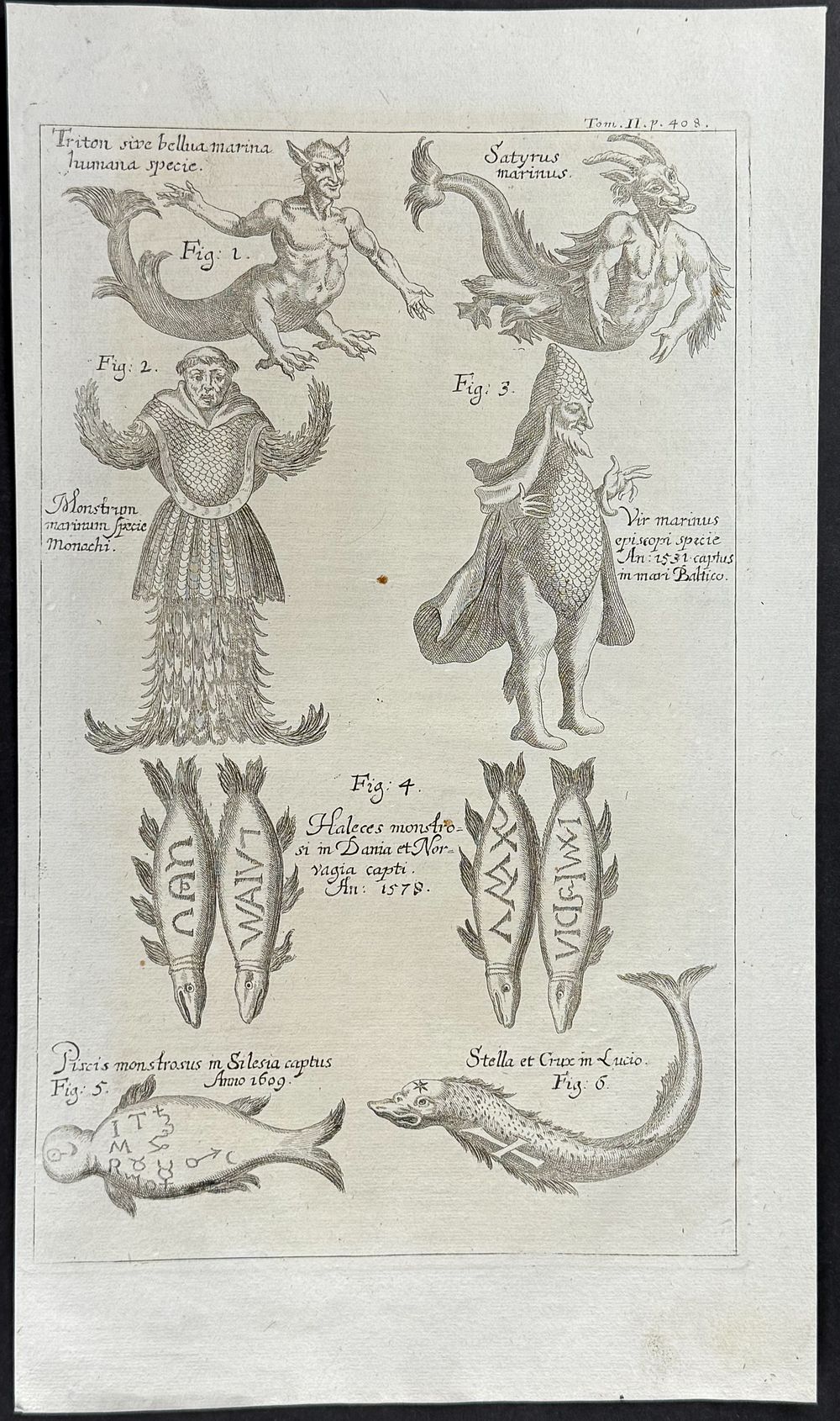 Zahn - Mermaid or man, Sea Monsters, Demon & Deformities. This spectacular engraving is from 