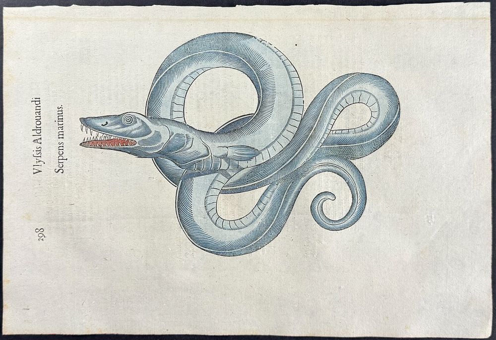 Aldrovandi, pub. 1640 - Sea Serpent. This extraordinarily rare, first edition, folio engraving 