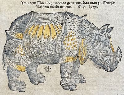 Munster, pub. 1598 - Rhinoceros after Albrecht Durer. This very old woodcut is from Sebastian