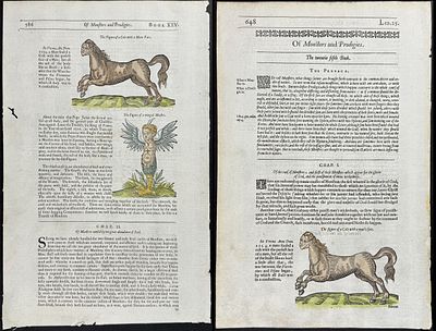 Pare, pub. 1664 - Pair of Pages with Horses with Human Face, Winged Monster. This historic