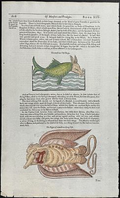 Pare, pub. 1664 - Sea Monsters. This historic engraving is from Ambroise Pare's Les OEuvres...