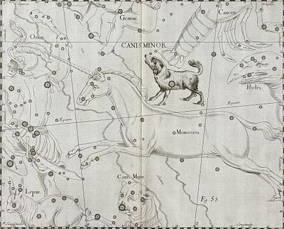 Hevelius - Constellation Chart: Canis minor, Monoceros (Unicorn). This rare first edition
