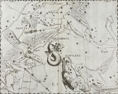Hevelius - Constellation Chart: Delphinus, Equuleus. This rare first edition engraving is from