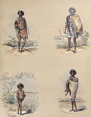 Angas, Australia - Portraits of the Aboriginal Inhabitants. 11. This beautiful originally