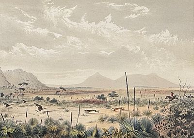 Angas, Australia - Kanagroo Hunting, near Port Lincoln, Albert Peak in the Distance. 19. This