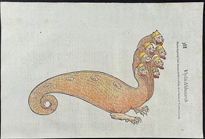 Aldrovandi - Seven-headed Hydra Monster. This extraordinarily rare, first edition, folio