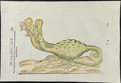 Aldrovandi - Seven-headed Hydra Monster. This extraordinarily rare, first edition, folio