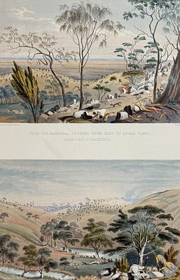 Angas, Australia - From the Barossa, looking over part of Angas Park, Gawler Plains in the