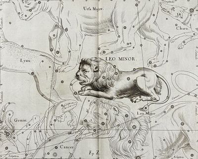 Hevelius - Constellation Chart: Leo Minor. This rare first edition engraving is from Johannes