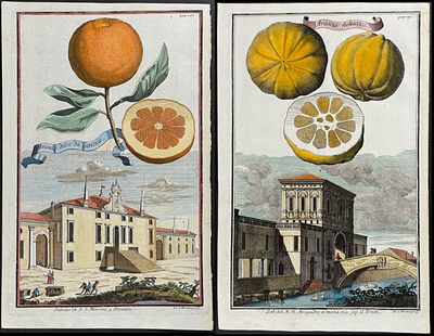 Volckamer - Pair of Orange Engravings. Included in this lot: Orange - Aranzo dolce da Genova. 