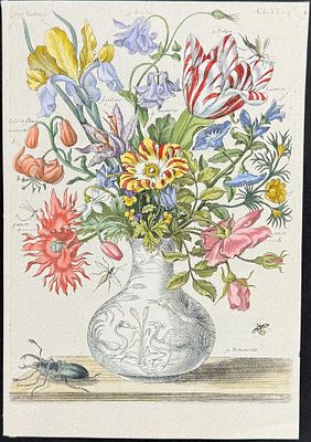 Merian - Flower Bouquet of Iris, Tulip, Peony, Rose with Beetle & Insect. 168. This charming 