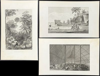 Wilkes - 7 Exploration Engravings. This historic engraving is from Charles Wilkes's Narrative of 