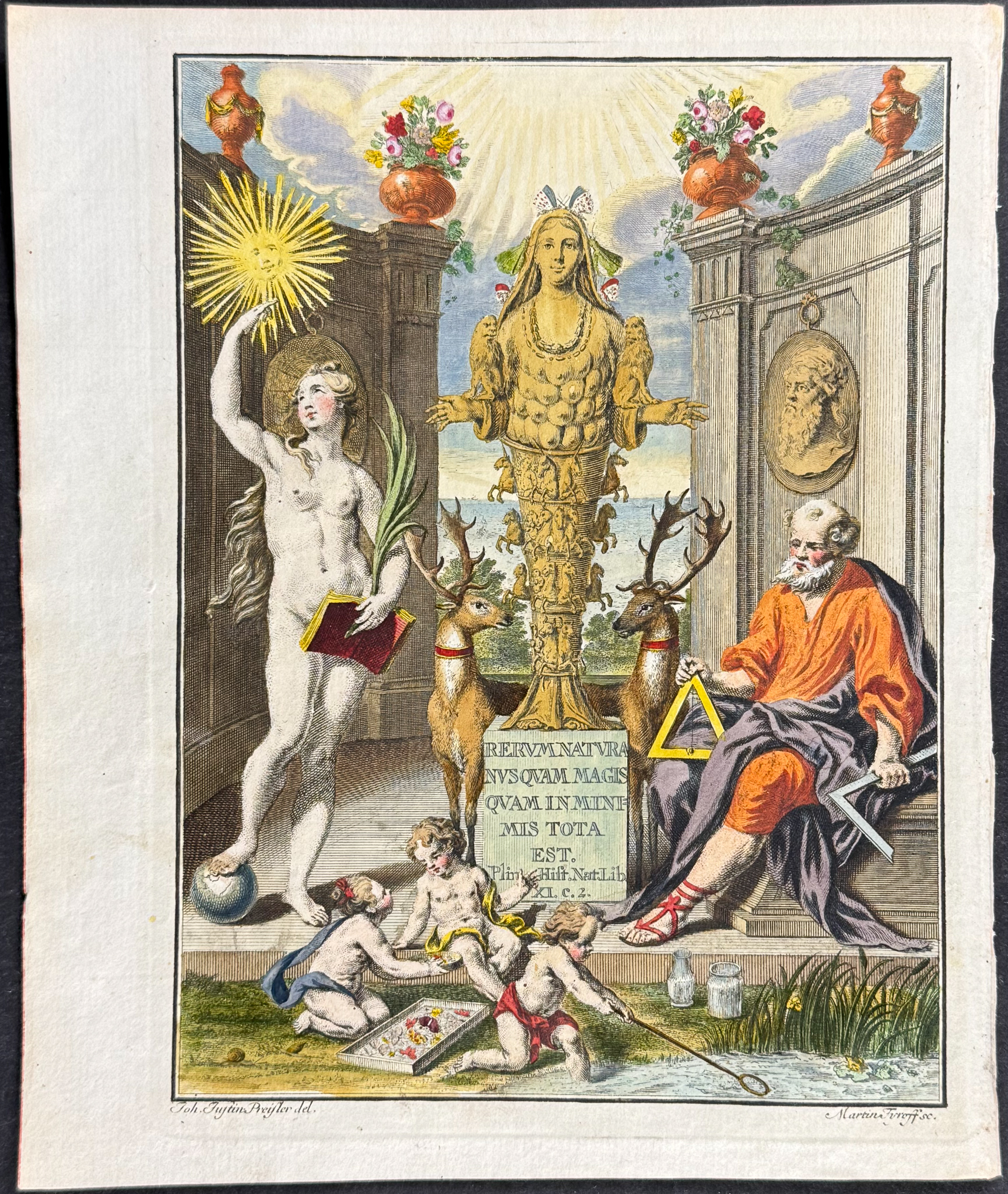 Madison Roesel Lot 7297 - Roesel - Frontispiece | Trillium Rare Prints