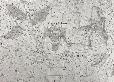 Bode, Elephant Folio - Constellation Chart: Cygnus (Swan), Vultur et Lyra, Hercules. 8. This 