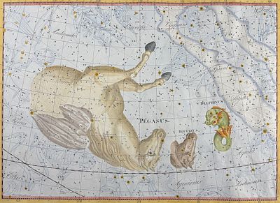 Bode, Elephant Folio - Constellation Chart: Pegasus, Equuleus (Horse), Delphinus (Dolphin). This 