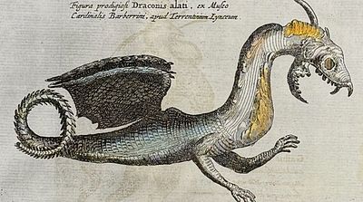 Kircher, pub. 1682 - Dragon. This scientific engraving is Athanasius Kircher's d'Onder-Aardse 