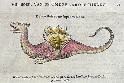 Kircher, pub. 1682 - Dragon. This scientific engraving is Athanasius Kircher's d'Onder-Aardse 