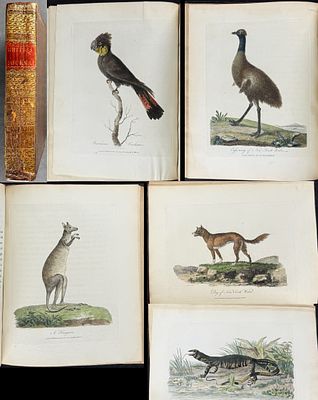 White's Voyage to New South Wales - Volume with 65 Engravings & 1 Map. This first edition work 