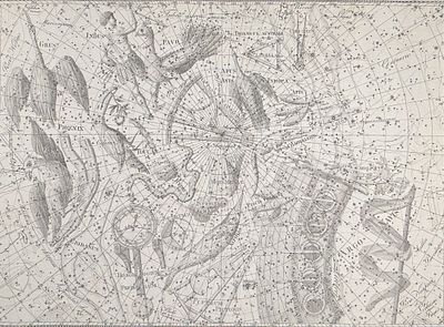 Bode, Elephant Folio - Constellation or Star Chart of Grus, Phoenix, Indus, Toucan, Pavo 