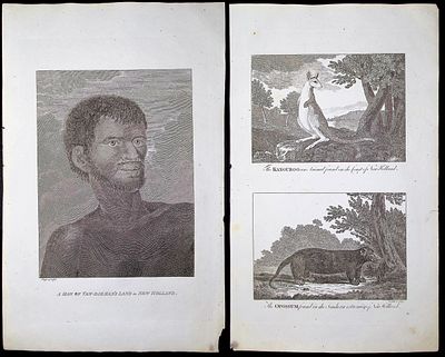 Bankes - Pair of Engravings of New Holland (Australia) & Partial Text from Captain Cook's Voyage. 