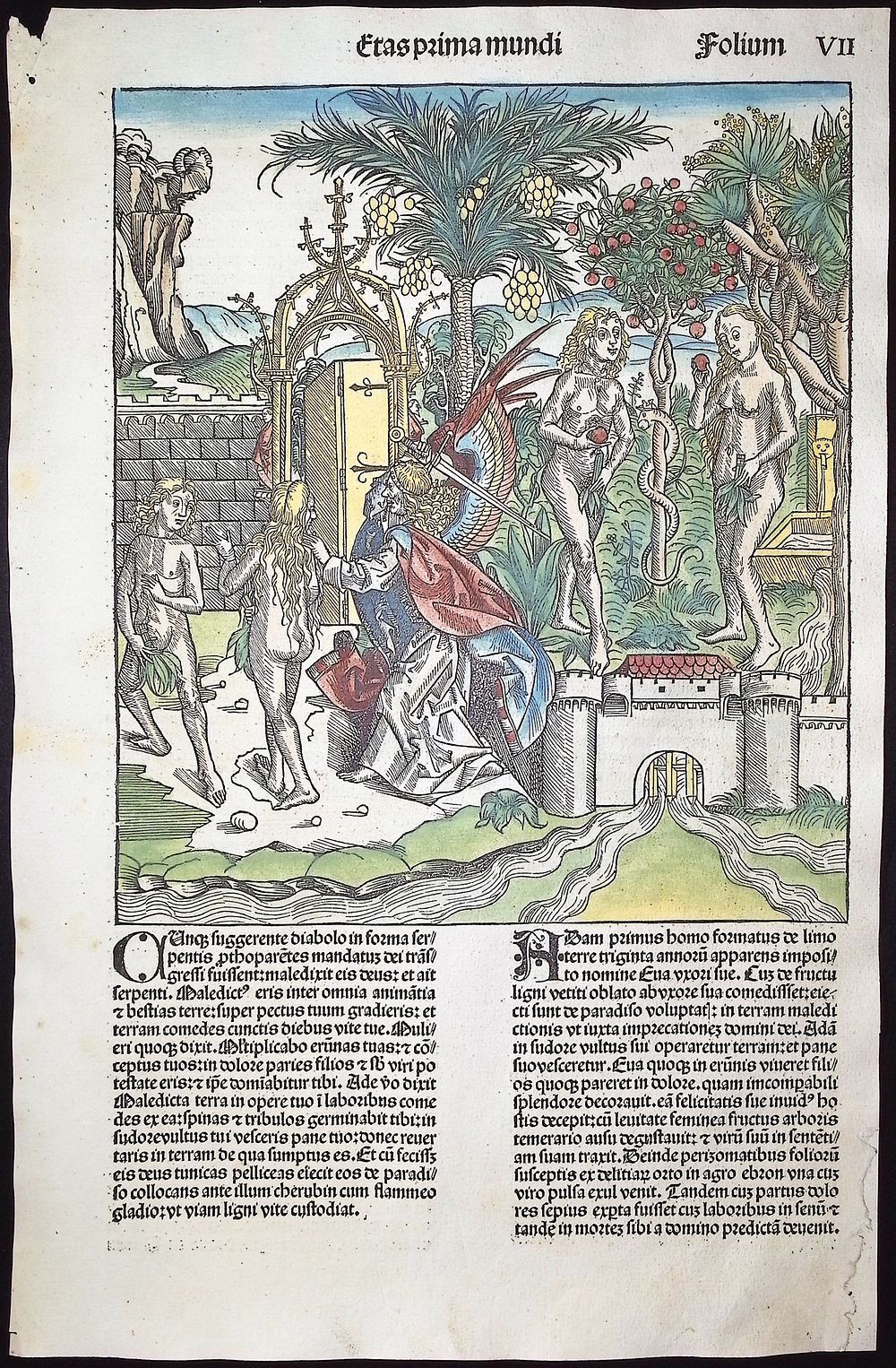 Schedel, pub. 1493 - Adam & Eve in the Garden of Eden. This important and historic engraving is 