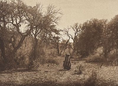 Edward Curtis - Among the Oaks - Apache. This moving photogravure in quarto size is from Edward 
