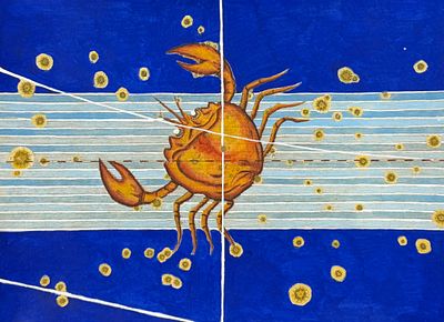 Bayer - Constellation or Star Chart of Cancer (Crab). Perhaps the most influential book in 