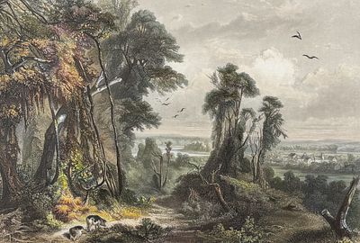 Karl Bodmer - New Harmony on the Wabash. 2. This rare aquatint engraving is from Karl Bodmer's 